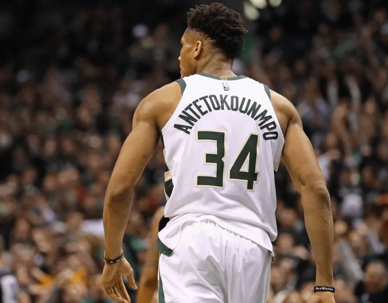 搜索与下载 搜索与下载